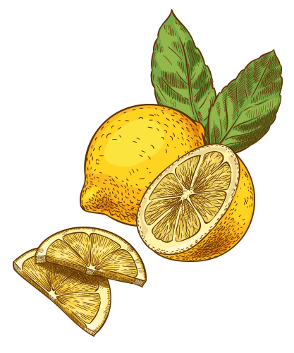 Citrus fruit